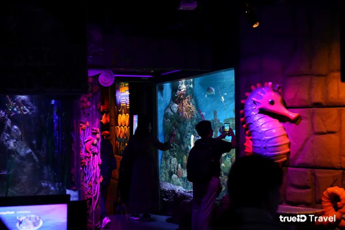 ซีไลฟ์ แบงคอก กรุงเทพ อควาเรียม สยามพารากอน