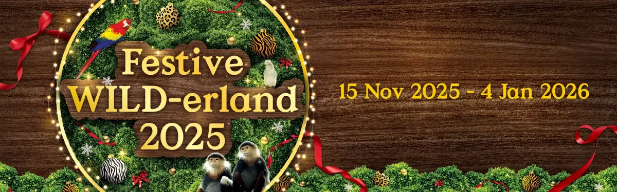 Festive WILD-erland 2025: Mandai Wildlife Reserve