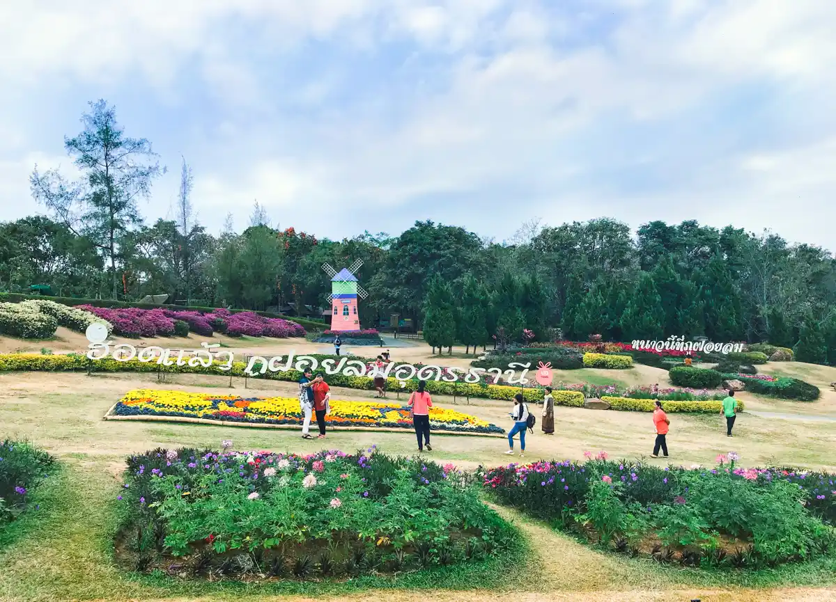 ที่เที่ยวอุดรธานี ธรรมชาติ ภูฝอยลม