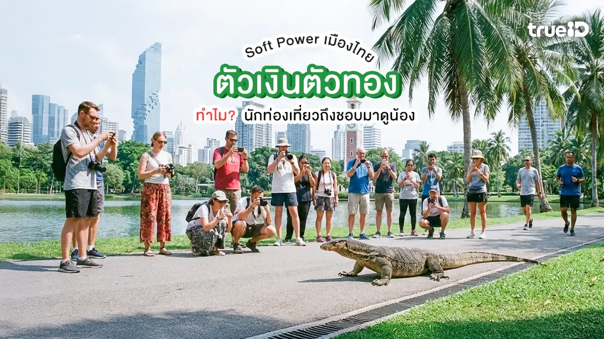 Soft Power เมืองไทย ทำไมนักท่องเที่ยวถึงชอบมาดูตัวเงินตัวทอง? พี่มาดูเห้ยอะไรกัน