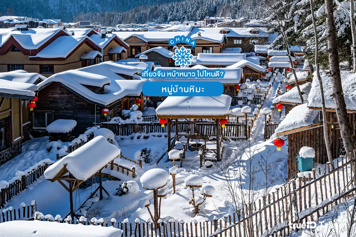 ที่เที่ยวจีนหน้าหนาว หมู่บ้านหิมะ China Snow Town 
