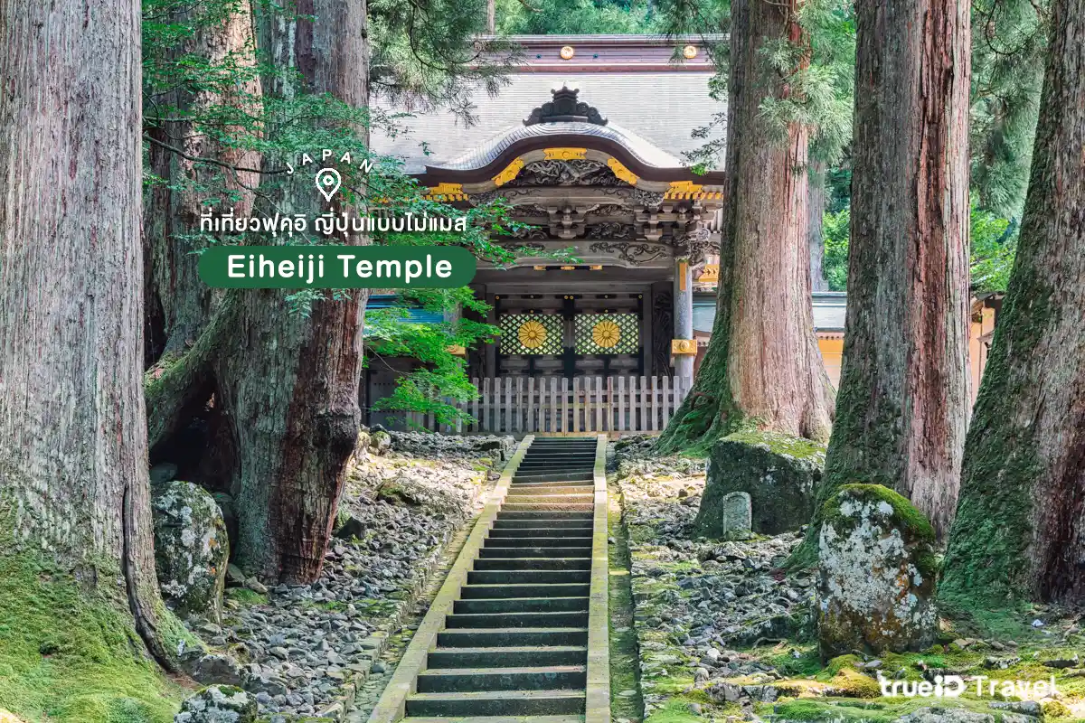 ที่เที่ยวญี่ปุ่นไม่แมส ฟุคุอิ วัดเอเฮจิ Eiheiji Temple