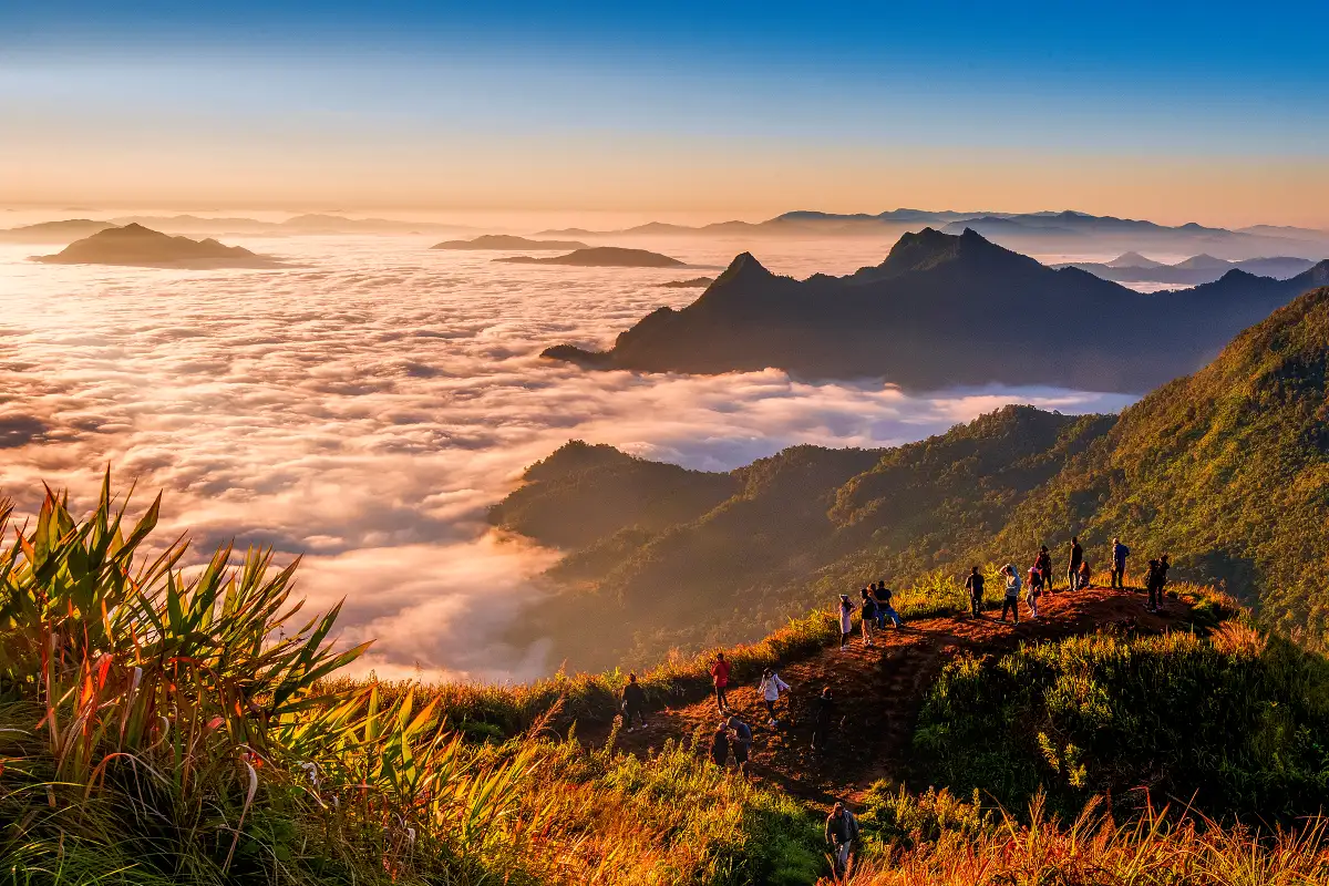 ภูชี้ฟ้า จ.เชียงราย