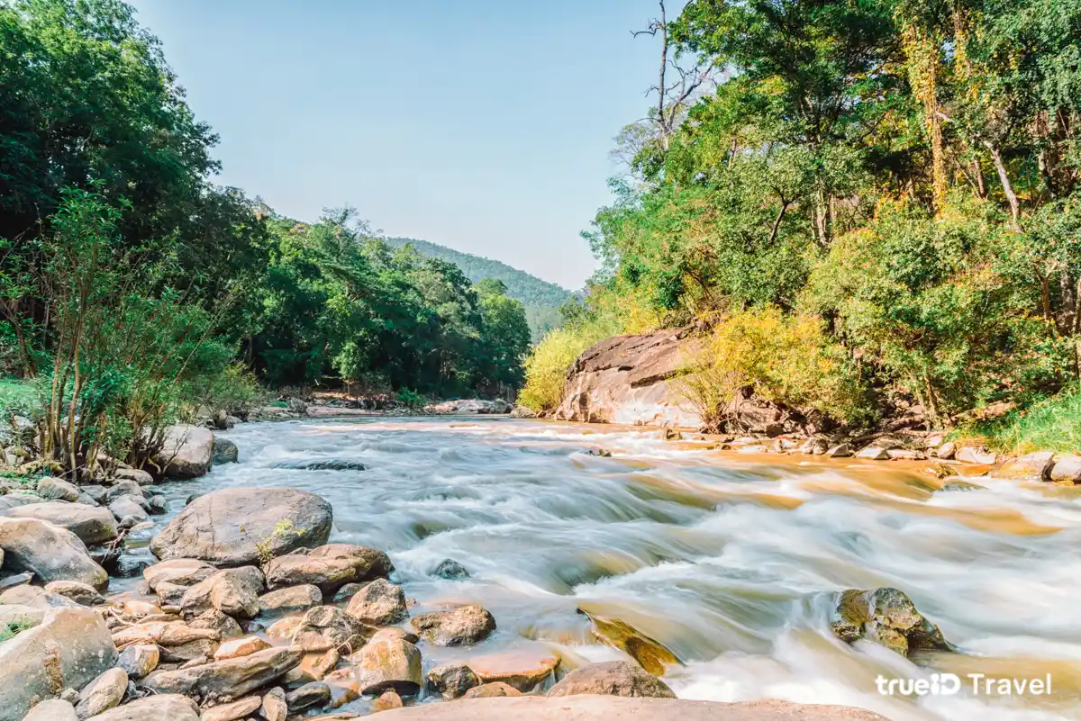 ล่องห่วงยาง เชียงใหม่ 2569 ลำน้ำแม่แจ่ม