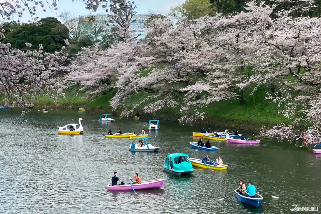 สวนจิโดริกะฟุจิ (Chidorigafuchi Park)