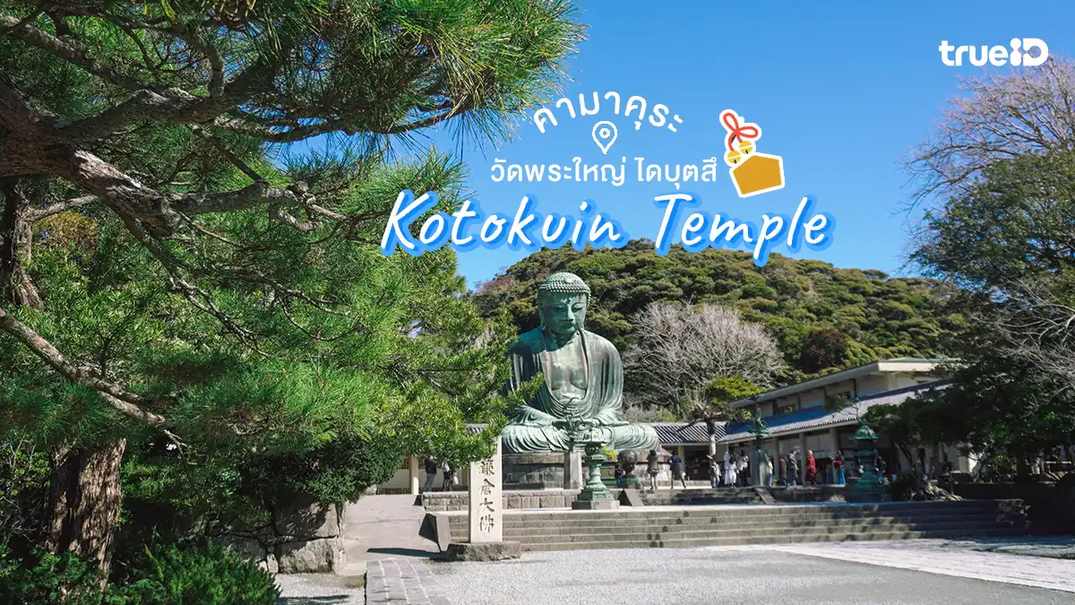 เที่ยวคามาคุระ ใกล้โตเกียว วัดพระใหญ่ ไดบุตสึ Kotokuin Temple ญี่ปุ่น