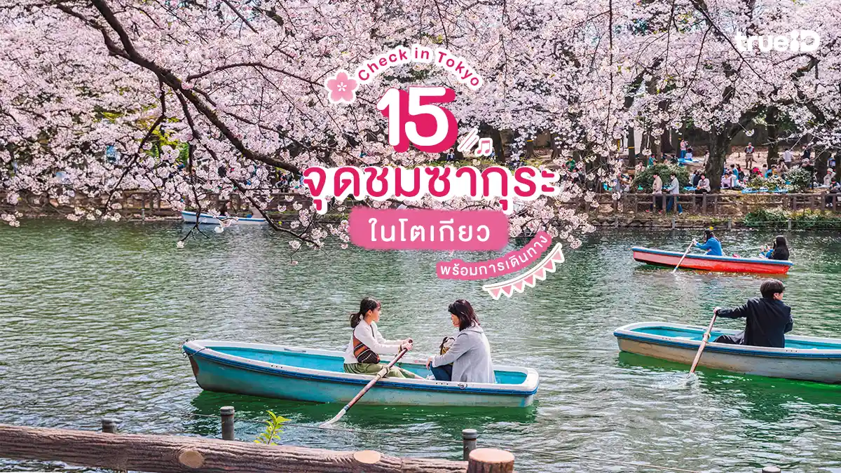 15 จุดชมซากุระ ในโตเกียว 2026 และ การเดินทางด้วยรถไฟ เที่ยวญี่ปุ่น
