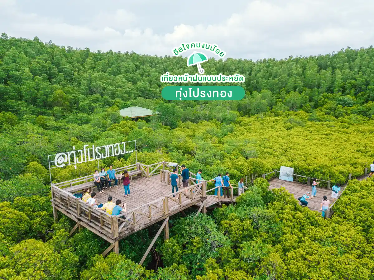 ทุ่งโปรงทอง ระยอง เที่ยวแบบประหยัด