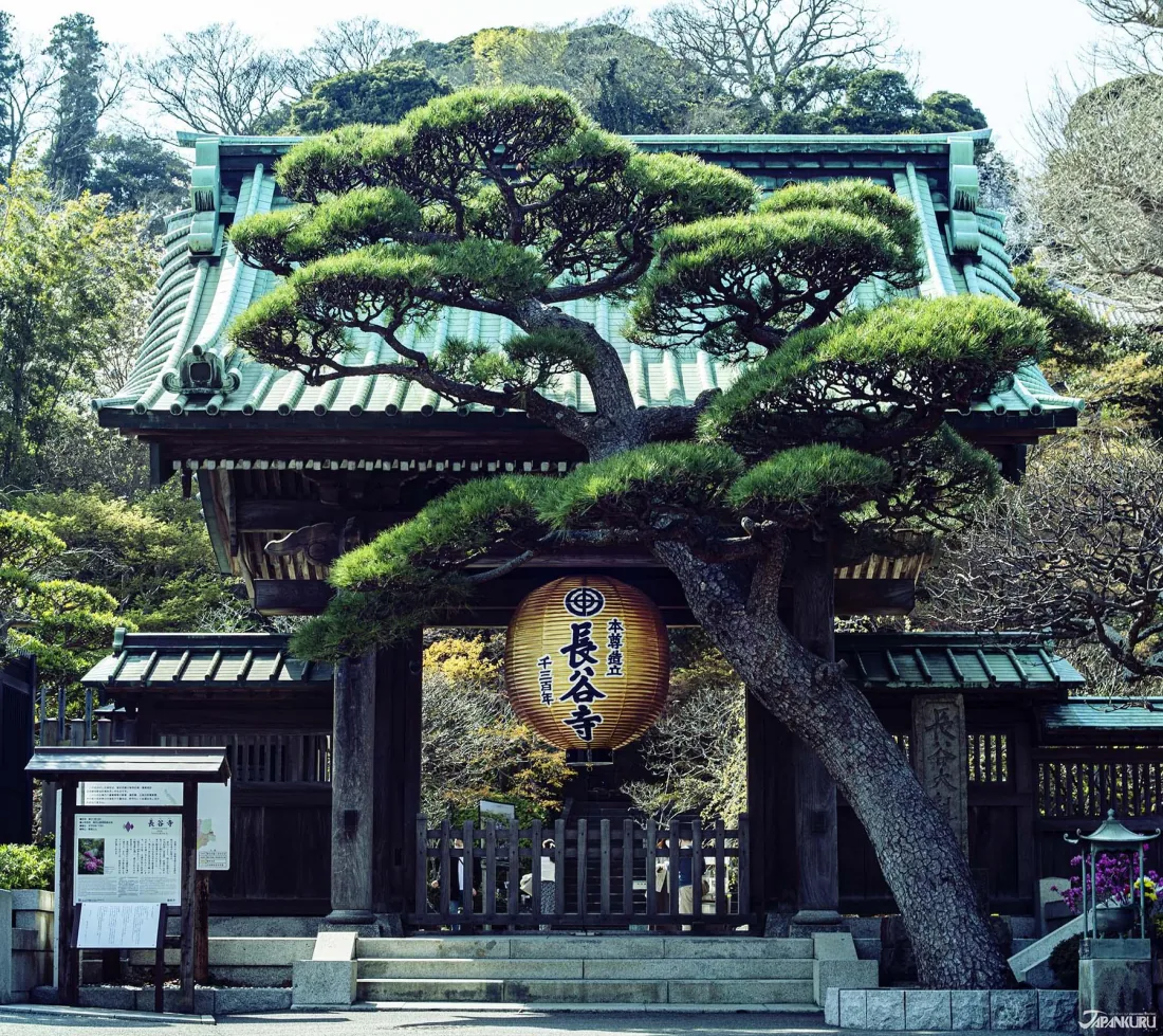วัดฮาเซเดระ (Hasedera Temple)