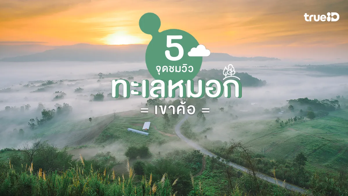 5 จุดชม ทะเลหมอก เขาค้อ สุดฮิต เที่ยวธรรมชาติ กอดอากาศสดชื่น