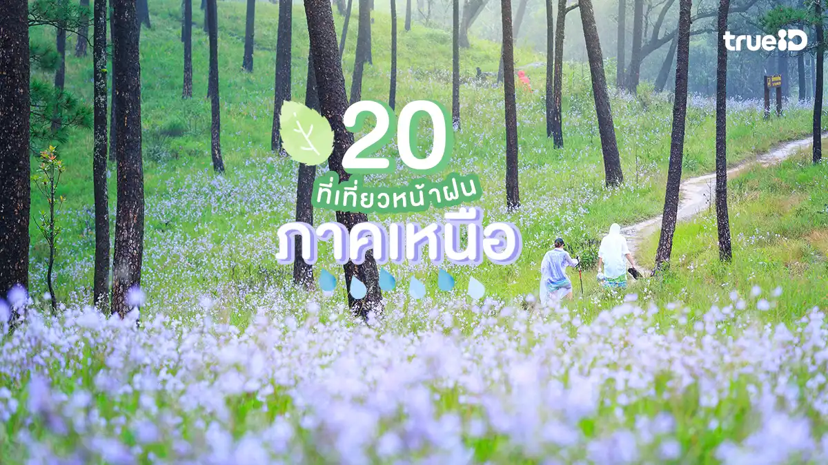 20 ที่เที่ยวหน้าฝน ภาคเหนือ 2569 หน้าฝนเที่ยวไหนดี ธรรมชาติเขียวชอุ่ม