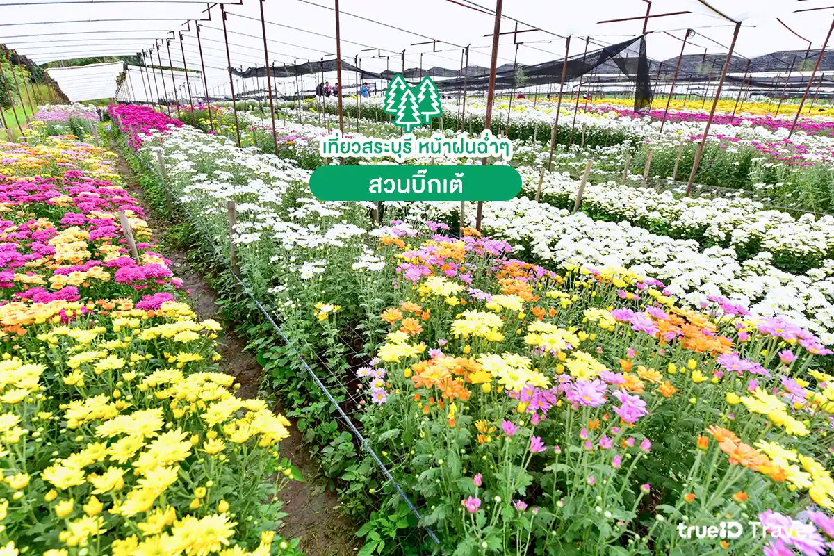 สวนบิ๊กเต้ ที่เที่ยวสระบุรี หน้าฝน 2569 เที่ยวใกล้กรุงเทพ