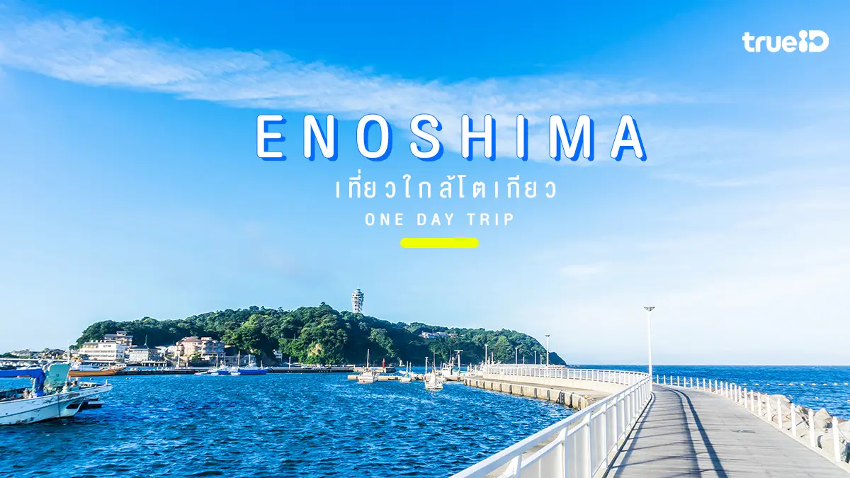 เที่ยวใกล้โตเกียว Enoshima คามาคุระ ญี่ปุ่น ไปเช้าเย็นกลับ ชิลๆ