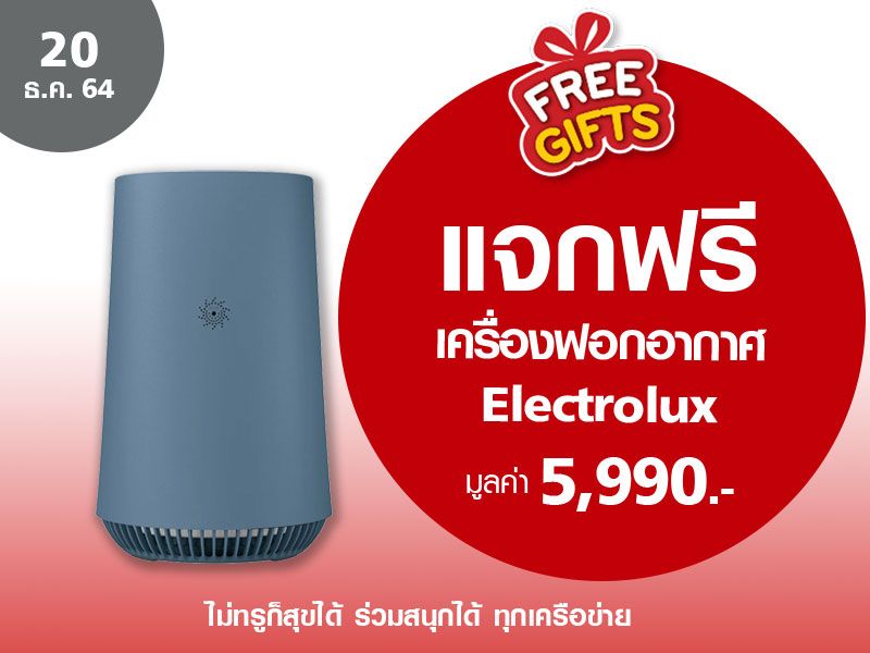 Electrolux purifier store