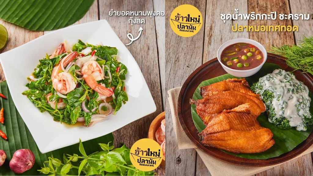 ร้านข้าวใหม่ปลามัน อัมพวา