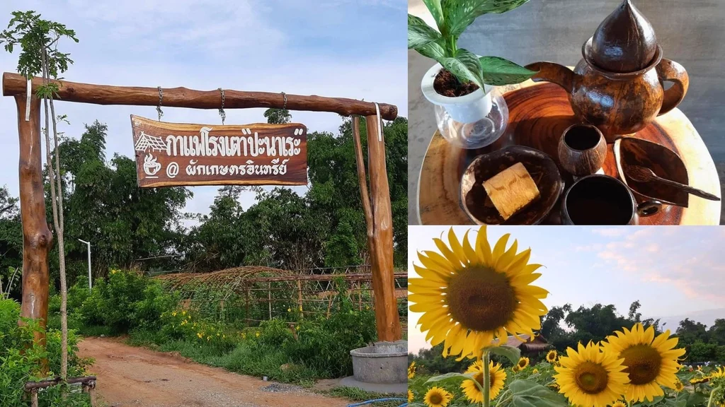 กาแฟโรงเตาปะนาเระ@ผักเกษตรอินทรีย์  