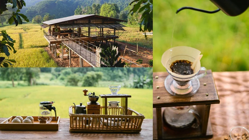 กาแฟสบขุ่น น่าน