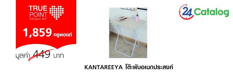 KANTAREEYA โต๊ะพับอเนกประสงค์