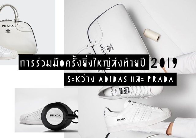 การร่วมมือครั้งยิ่งใหญ่ส่งท้ายปี 2019 ระหว่าง Adidas และ Prada