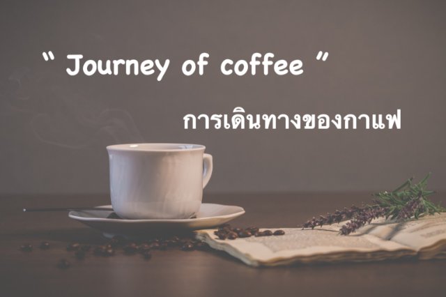 “ Journey of coffee ”  (การเดินทางของกาแฟ)