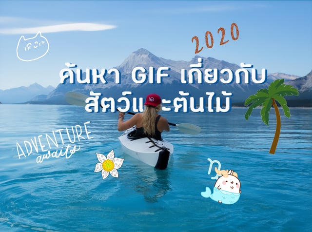 ค้นหา GIF เกี่ยวกับสัตว์และต้นไม้