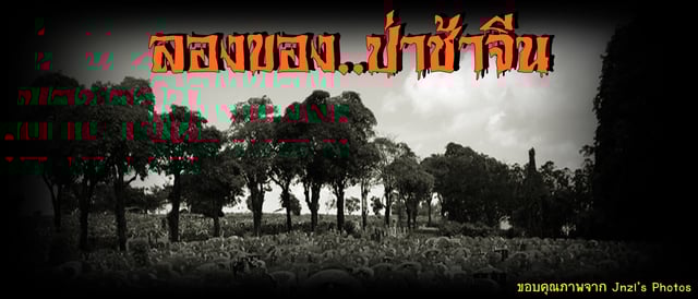 ลองของป่าช้าจีน