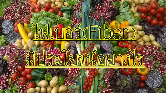ไฟเบอร์(Fiber) มีประโยชน์อย่างไร