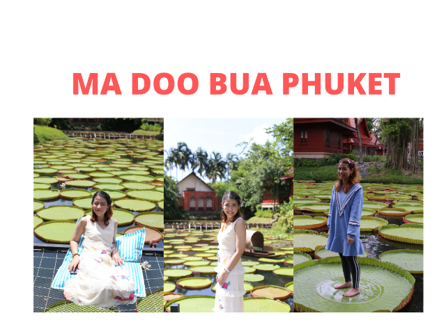Ma Doo Bua Phuket