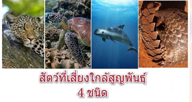 สัตว์ที่เสี่ยงใกล้สูญพันธุ์ 4 ชนิด