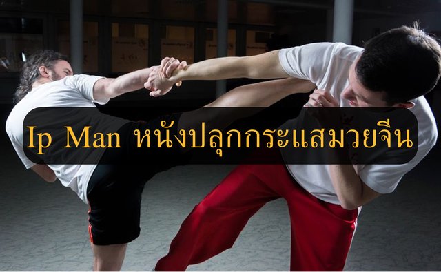 Ip Man หนังปลุกกระแสมวยจีน
