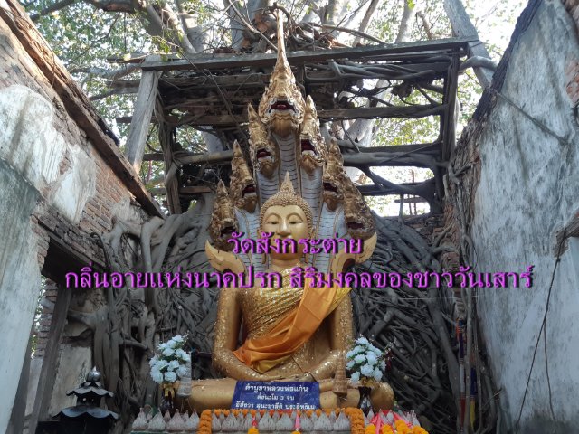 วัดสังกระต่าย กลิ่นอายแห่งนาคปรก สิริมงคลของชาววันเสาร์