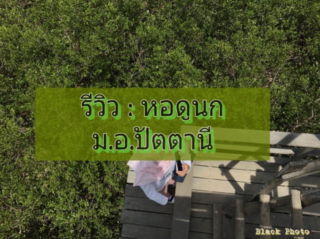รีวิว : หอดูนก ม.อ.ปัตตานี