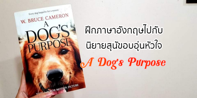 ฝึกภาษาอังกฤษไปกับนิยายสุนัขอบอุ่นหัวใจ A Dog’s Purpose