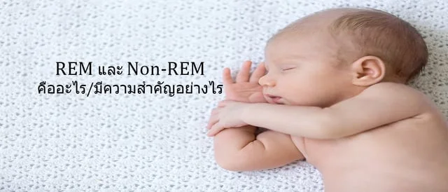 Phom Rem REM และ Non-REM คืออะไร/มีความสำคัญอย่างไร