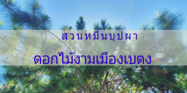 สวนหมื่นบุปผา ดอกไม้งามเมืองเบตง