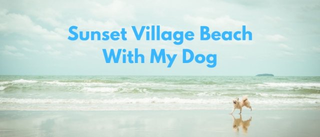 UTCC1 : Sunset Village Beach With My Dog
