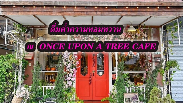 ดื่มด่ำความหอมหวาน ณ Once upon a tree cafe