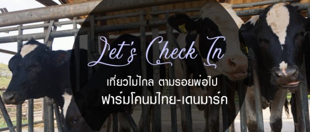 Let's Check In: เที่ยวไม่ไกลไป ฟาร์มโคนมไทย-เดนมาร์ค