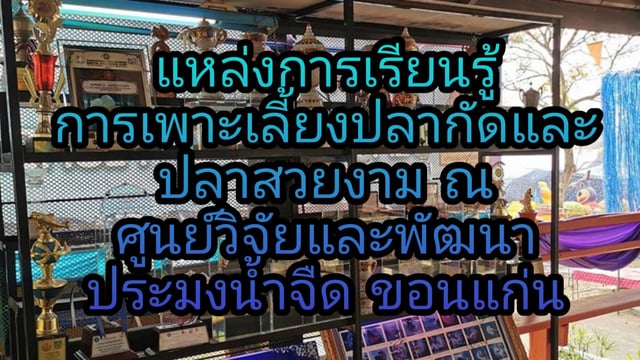 แหล่งการเรียนรู้การเพาะเลี้ยงปลากัดและปลาสวยงาม ณ ศูนย์วิจัยและพัฒนาประมงน้ำจืดขอนแก่น