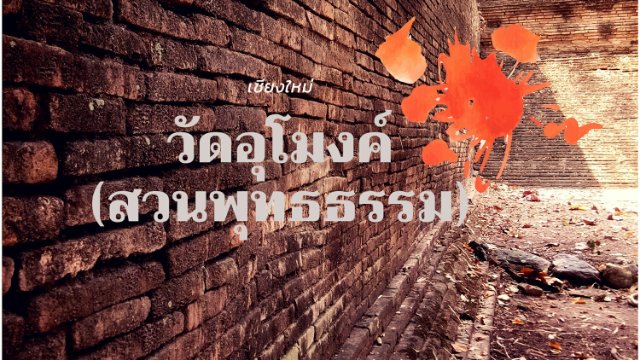 เที่ยวให้สุขใจ เที่ยววัดอุโมงค์ เชียงใหม่ !!!