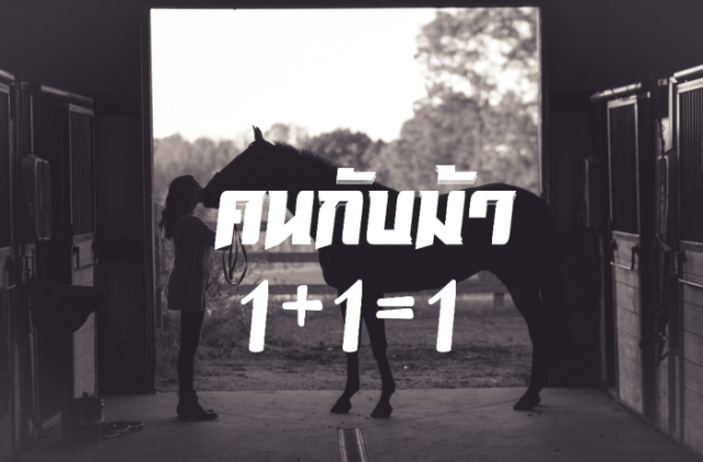 คนกับม้า 1+1=1