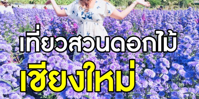 เที่ยวสวนดอกไม้ เชียงใหม่