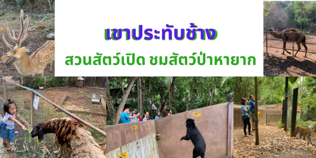 เขาประทับช้าง “สวนสัตว์เปิด” สัตว์ป่าหาชมยาก