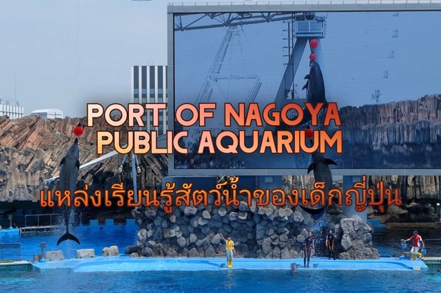 Port of Nagoya Public Aquarium แหล่งเรียนรู้สัตว์น้ำของเด็กญี่ปุ่น
