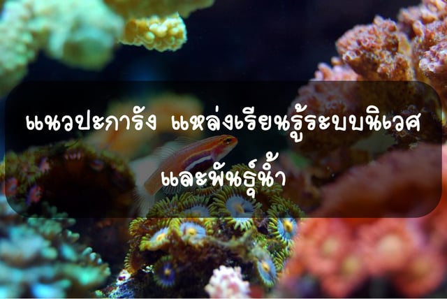 แนวปะการัง แหล่งเรียนรู้ระบบนิเวศ และพันธุ์น้ำ