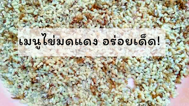 ยำไข่มดแดงแสนอร่อย
