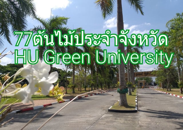 77 ต้นไม้ประจำจังหวัด HU Green University