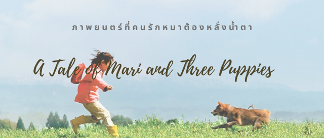 ภาพยนตร์ที่คนรักหมาต้องหลั่งน้ำตา A Tale of Mari and Three Puppies