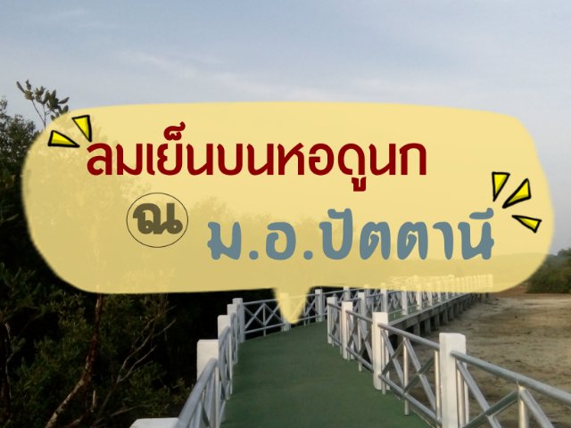 ลมเย็นบนหอดูนก ณ ม.อ.ปัตตานี