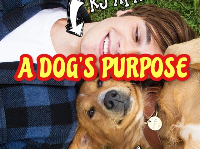 รีวิว A DOG'S PURPOSE